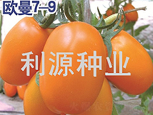 �W��7-9-���ѷN��-��Դ�N�I(y��)