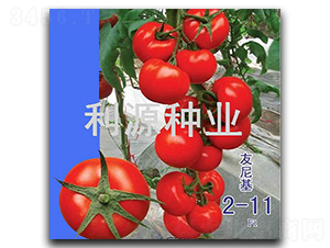 �����-���ѷN��-��Դ�N�I(y��)