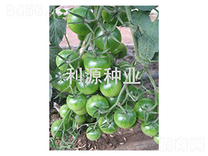 ����-���ҷ��ѷN��-��Դ�N�I(y��)