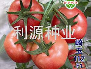 ����112-���ѷN��-��Դ�N�I(y��)