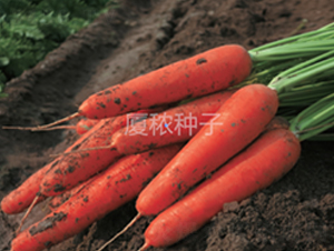 �鸣918-���}���N��-�B���r(n��ng)�I(y��)