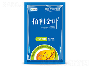 �������~�~�z��-��̩�r(n��ng)�I(y��)