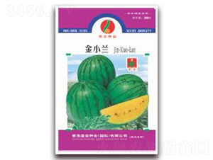 ��С�m-���ϷN��-�A�r(n��ng)�N�I(y��)