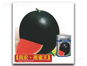 ���������-���ϷN��-�A�r(n��ng)�N�I(y��)