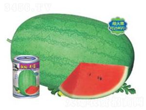 ��������-���ϷN��-�A�r(n��ng)�N�I(y��)