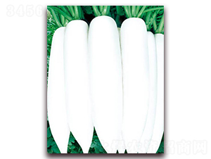 �İ����}��-���}���N��-�A�r(n��ng)�N�I(y��)