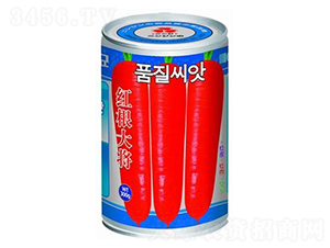 �t����-���}���N��-�A�r(n��ng)�N�I(y��)