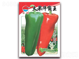 ���ţ����-�����N��-�A�r(n��ng)�N�I(y��)