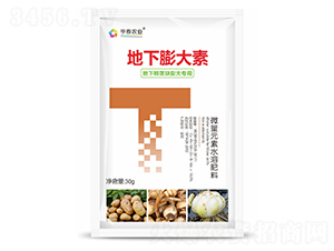 ���¸��o�K�����-��̩�r�I(y��)