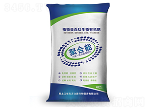 �ۺ������Sһ�w�����ͷ���-�|����ԭ