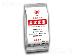 ���w����-�A�|ʢ