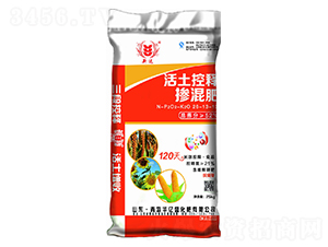 ������ጓ����26-13-13-���_-�A�|ʢ