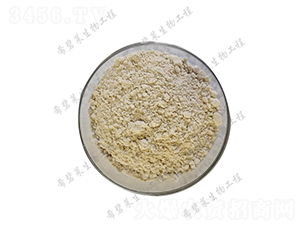 �K�ƽ�ѿ�ߗU��-ϣ���R����