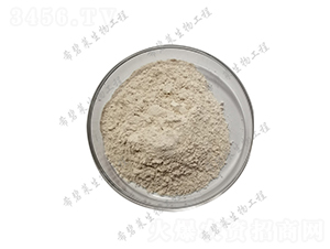 �޴�ѿ�ߗU��-ϣ���R����