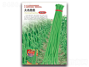 ��������-�����N��-�A�r(n��ng)�N�I(y��)