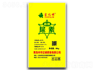 ���w����-���|��-���r(n��ng)�|��