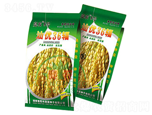 �ǃ�(y��u)36̖-ˮ���N��-���r(n��ng)