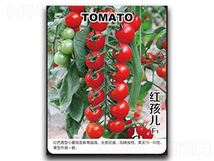 �t����-���ѷN��-�G����