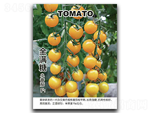 ��M��С����-���ѷN��-�G����