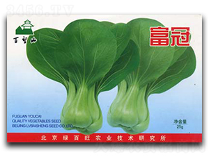 ����-��˷N��-�G����