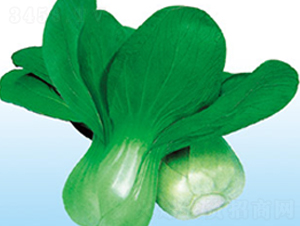 ����-��˷N��-�G����