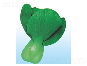 ���A-��˷N��-�G����