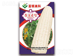 ����6̖(h��o)-Ŵ���׷N��-���y�ϲ�