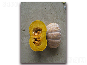 ���y����-�ϹϷN��-���y�ϲ�