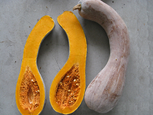 �s���S��-�ϹϷN��-���y�ϲ�