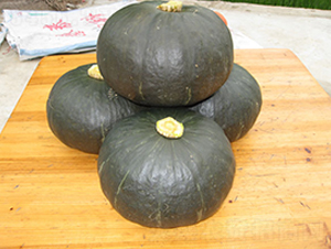 �ھ���̖(h��o)-�ϹϷN��-���y�ϲ�