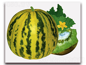 ������-��ϷN��-���y�ϲ�