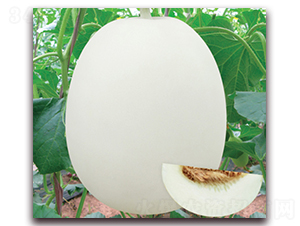 ������8̖(h��o)-��ϷN��-���y�ϲ�