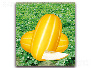 ������1̖(h��o)-��ϷN��-���y�ϲ�