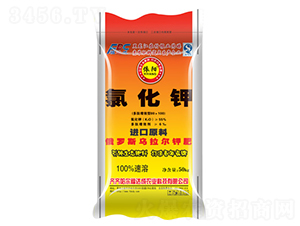 �Ȼ��-���-���_(d��)��