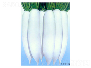 �h�ǰ���-���}���N��-������