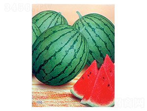 ��С��-���ϷN��-������