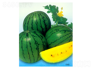 ��С�m-���ϷN��-������