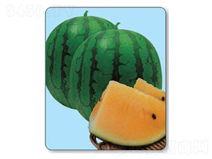 �ی�-���ϷN��-������