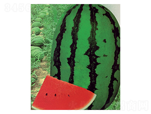 �Нh��-���ϷN��-������