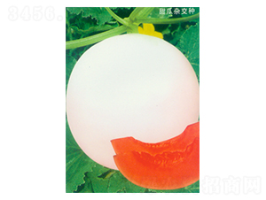 ������-��ϷN��-������