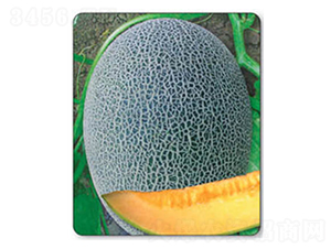 ���@17-��ϷN��-������