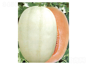 �|���t��-��ϷN��-������