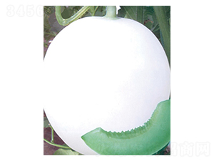 �G��ʹ-��ϷN��-������