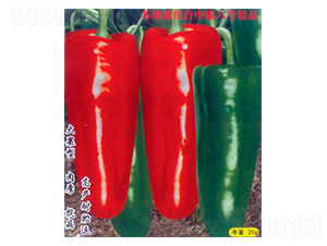 �����r(n��ng)�؃�(y��u)-6-�����N��-������