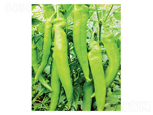 �L��-�����N��-������