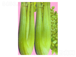 �Aʢ�D1̖(h��o)-�۲˷N��-������