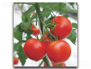 �X������-���ѷN��-�����r(n��ng)