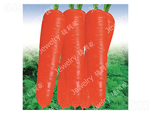 �\�t����-���}���N��-������