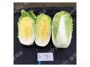 ���ڸ�-�ײ˷N��-������