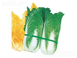 CR�����S-�ײ˷N��-������